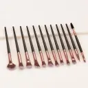 10Blackset Of Brushes