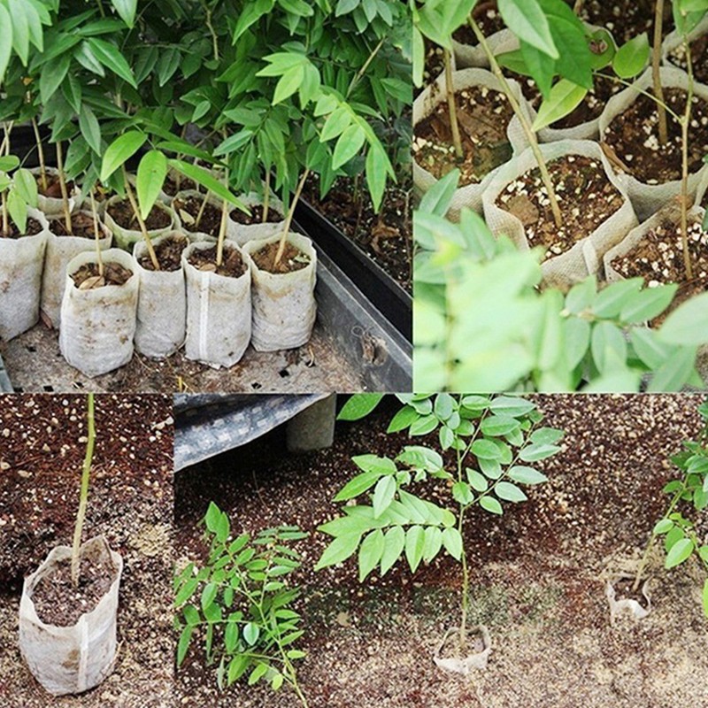 200pcs Biodegradable Nursery Bag Non-woven Fabric Plant Grow Bags White UK — image 2
