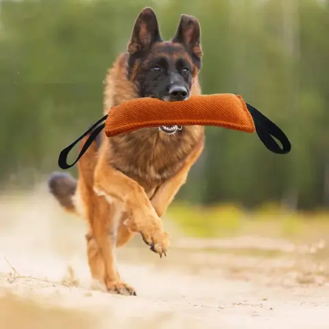 Dog Drag Toy Dog Jute Bite Pillow Durable Training
