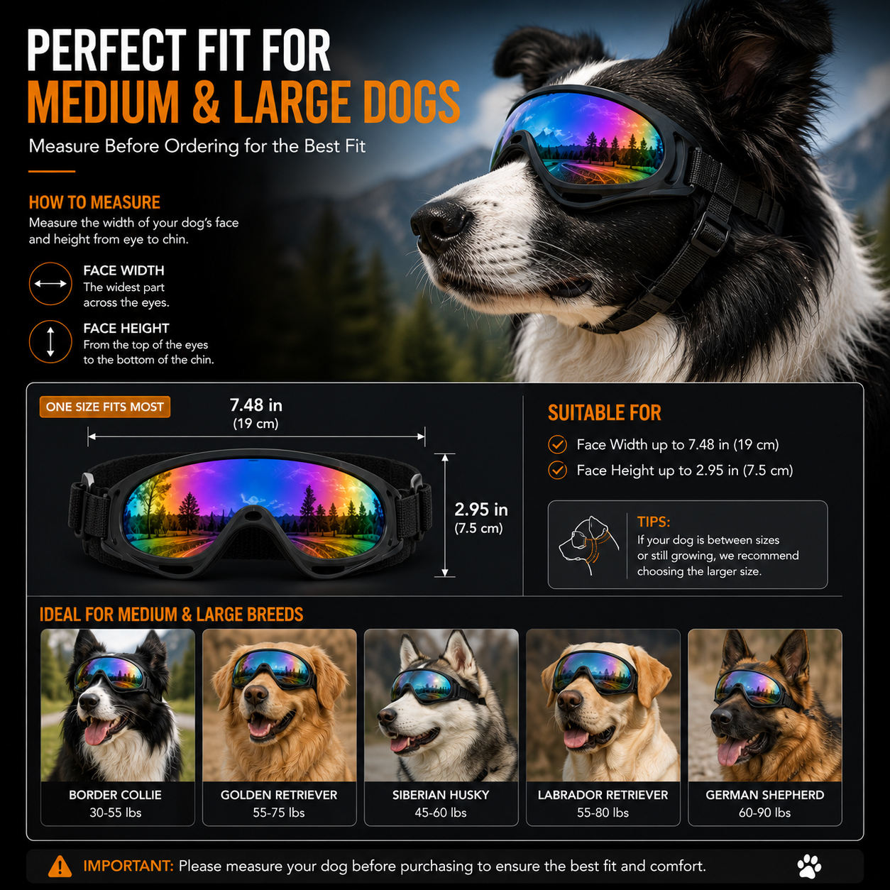 Dog Goggles For Medium & Large Dogs thumbnail 7