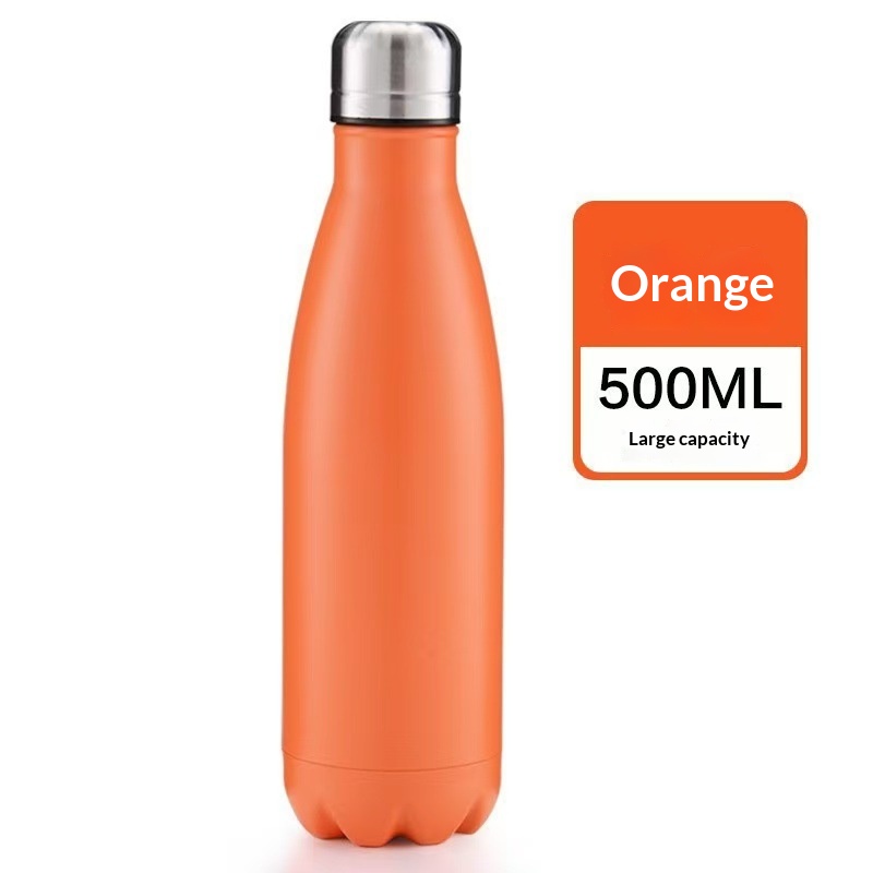 17oz Insulated Stainless Steel Water Bottle