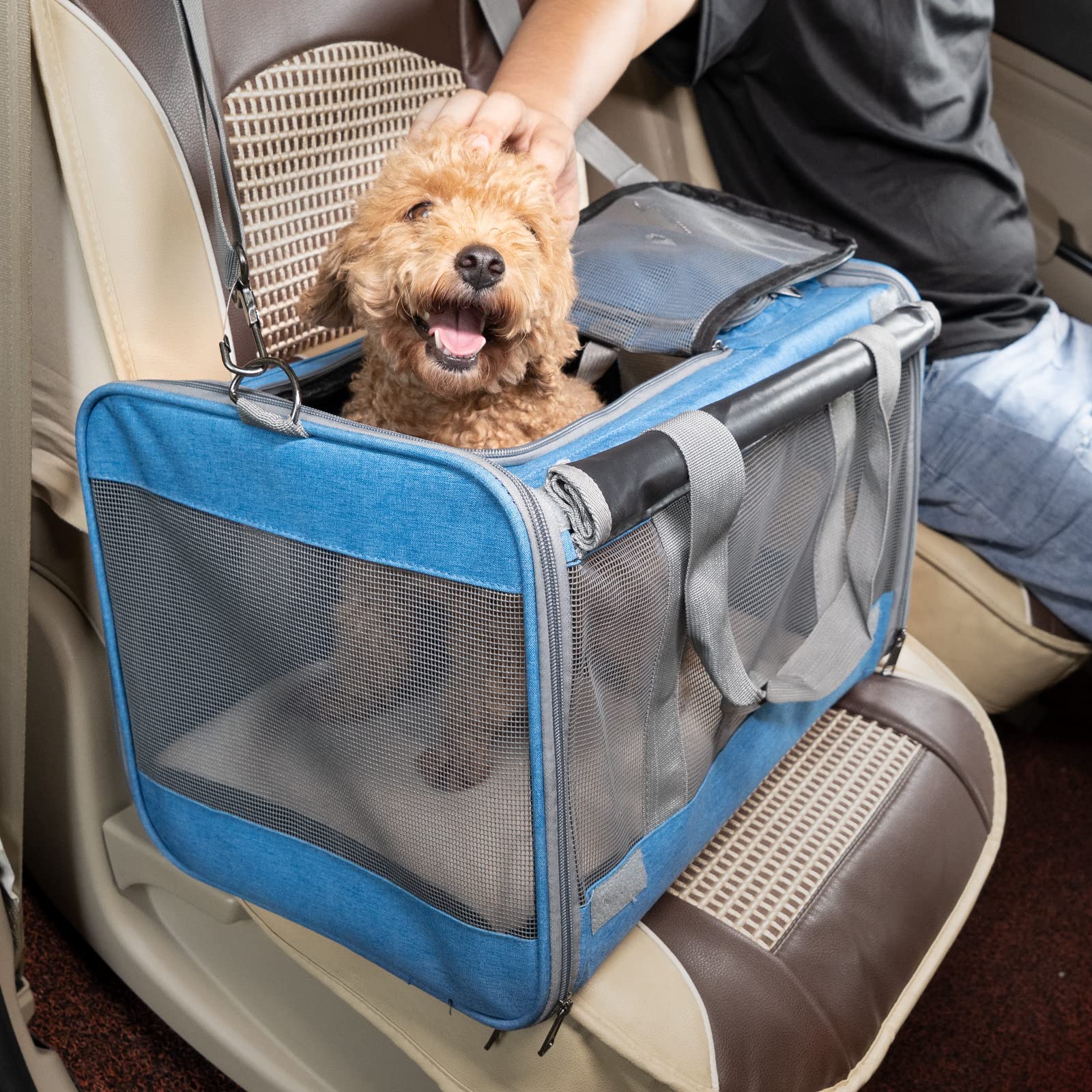 Transporteur pour animaux de compagnie pour chats de grande et moyenne taille – Image 2