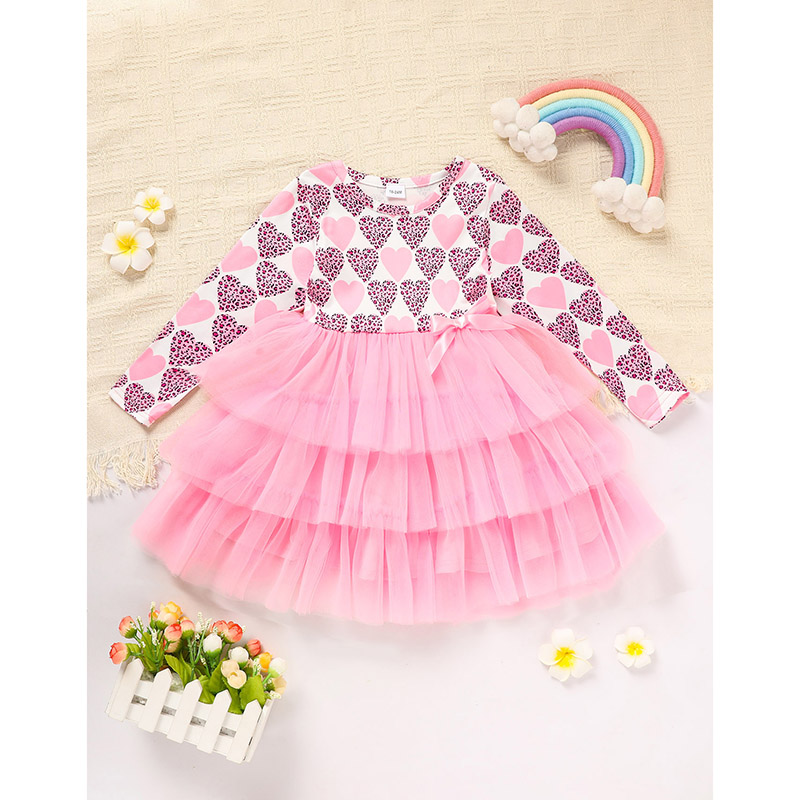 Toddler Girls Outfits Long Sleeve Graphic Heart Print Mesh Tulle Dress Valentine Birthday Party Dresses — view 3