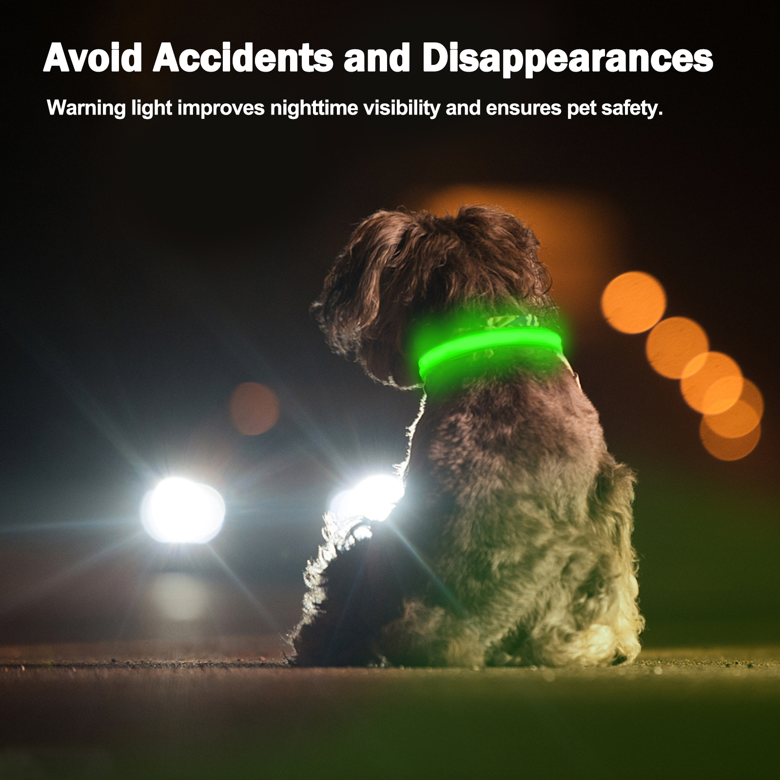 Light Up Dog Collar - Lights For The Dark Night, Adjustable Flashing — image 6