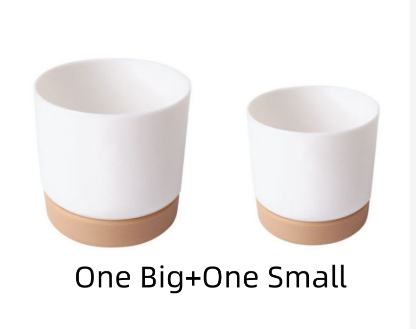 Small 1 Large 1