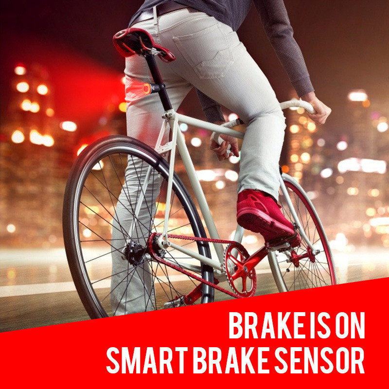 Smart Brake Sensing Usb Charging Taillight – My Sals3