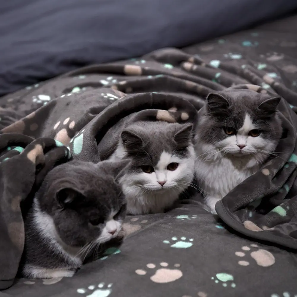 Dog and Cat Flannel Thickened Pet Blanket