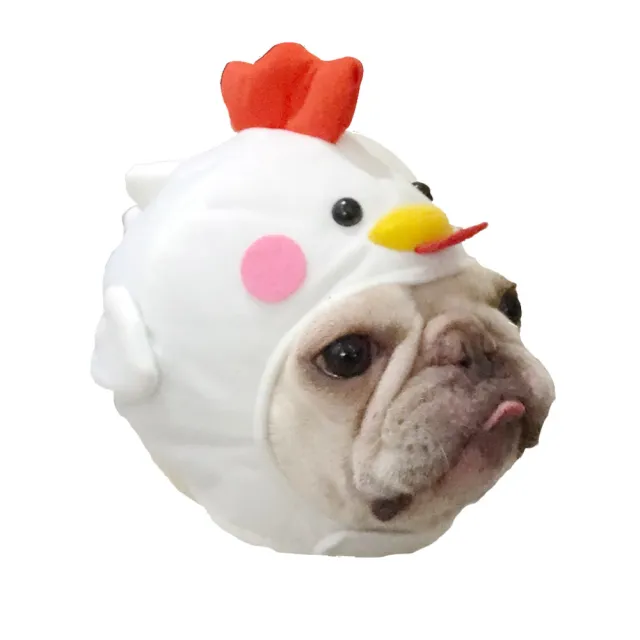 Pet Styling Video Creative Pet Supplies Cute Dog Hat White - Shop at LoveMi