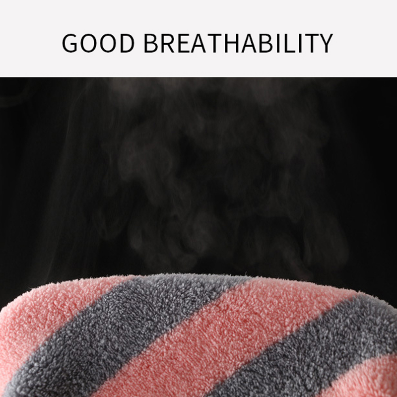 Microfiber Thickened Coral Fleece Cationic Drying