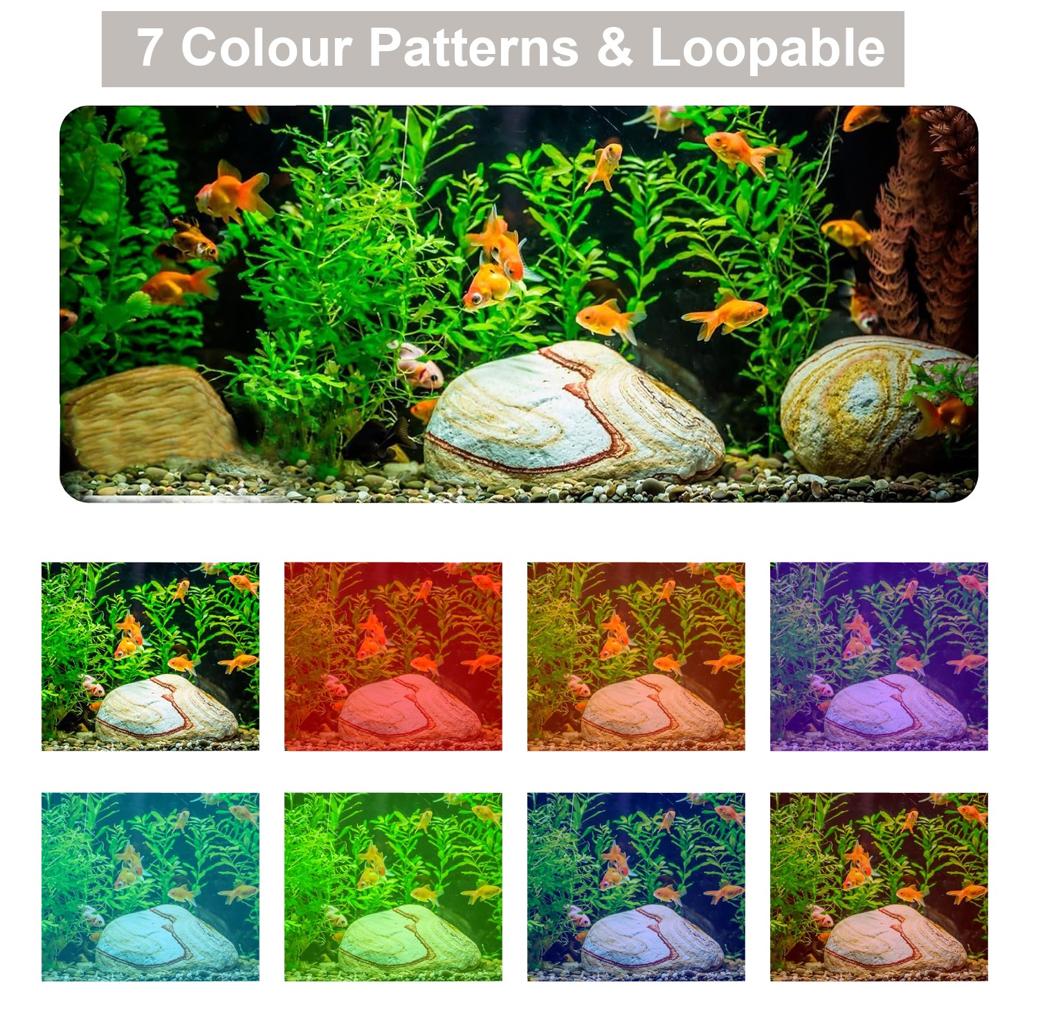 Lumière d'aquarium à spectre complet à clipser, minuterie réglable, luminosité – Image 6