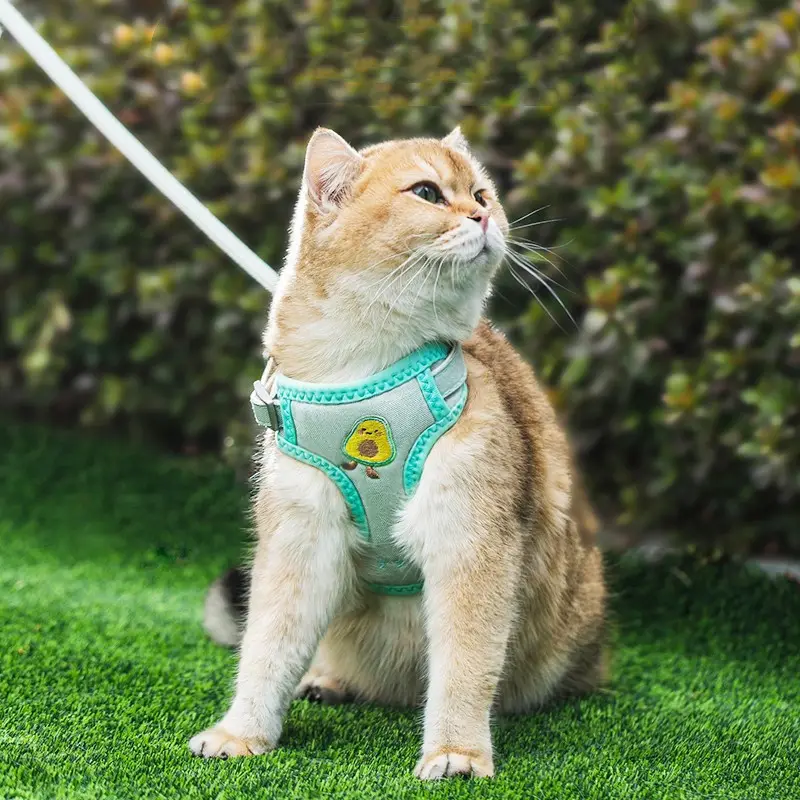 Cat Traction Rope Special Anti Break Pet