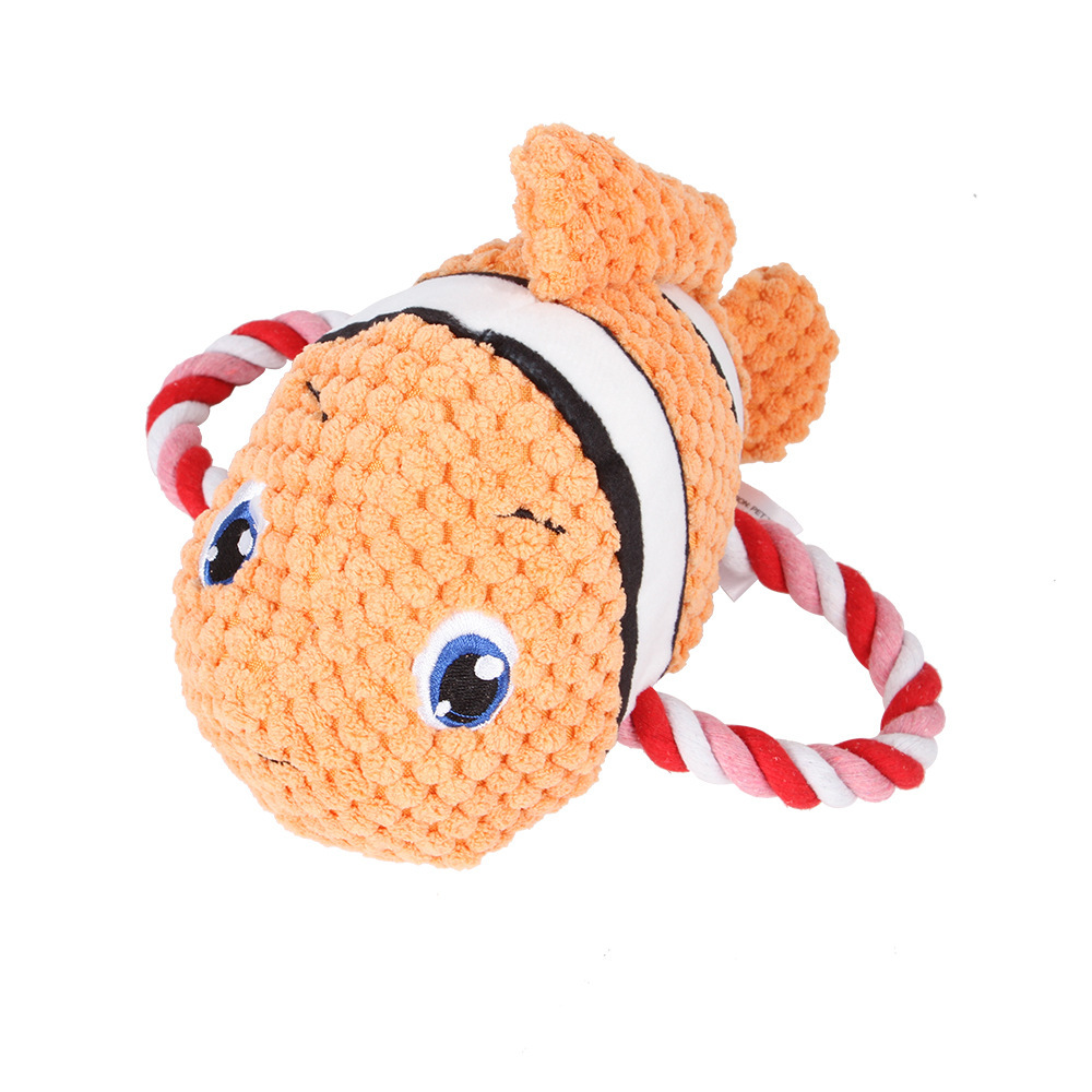 Clownfish