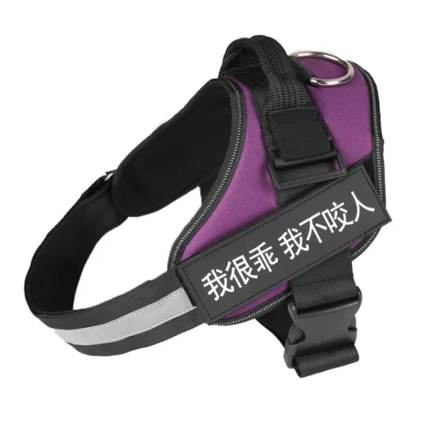Leashing Chain Rope Dog Chain Pet Supplies Purple - Shop at LoveMi