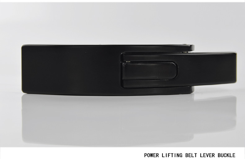 Title 2, Fitness Cowhide Belt Buckle Head