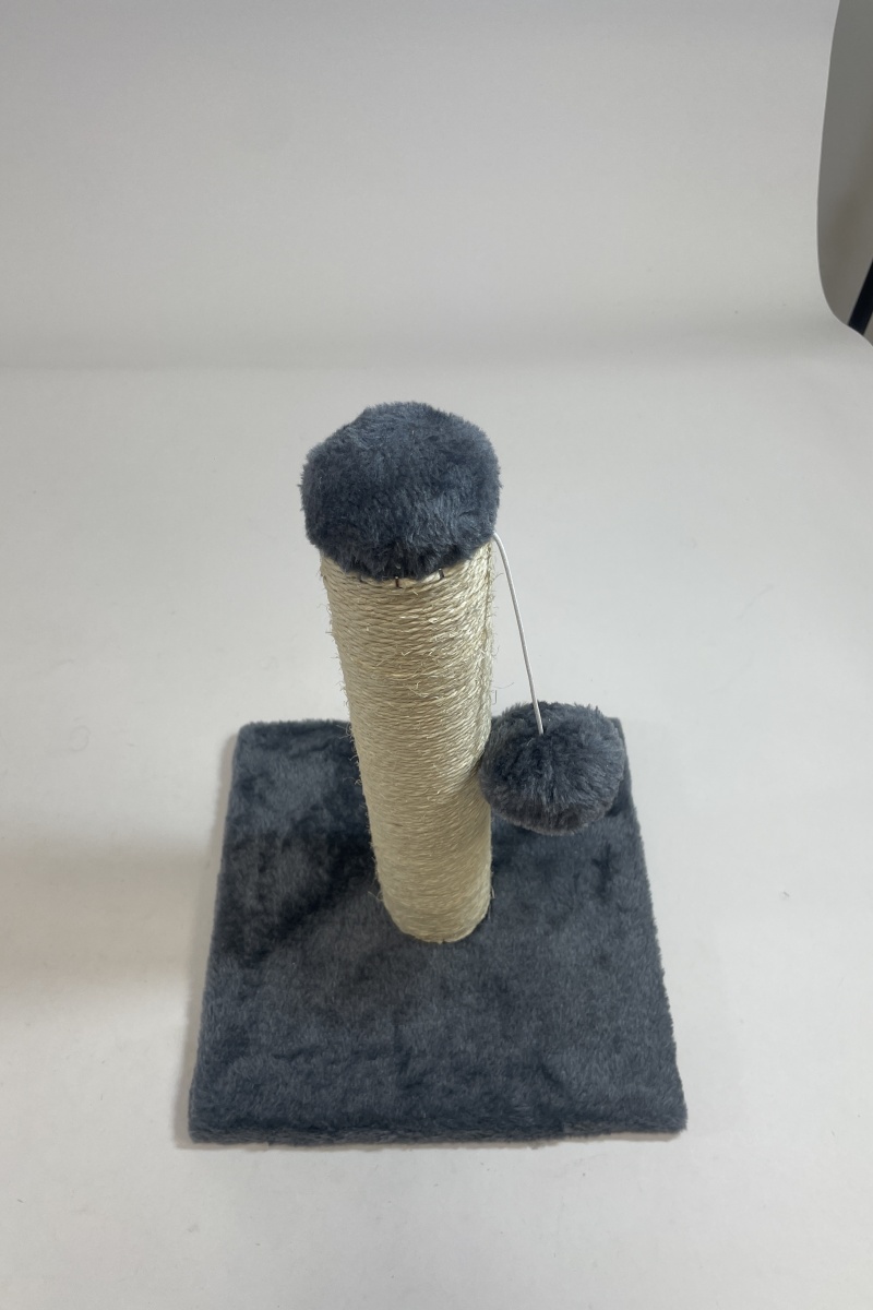 Cat Climbing Black Black - Shop at LoveMi