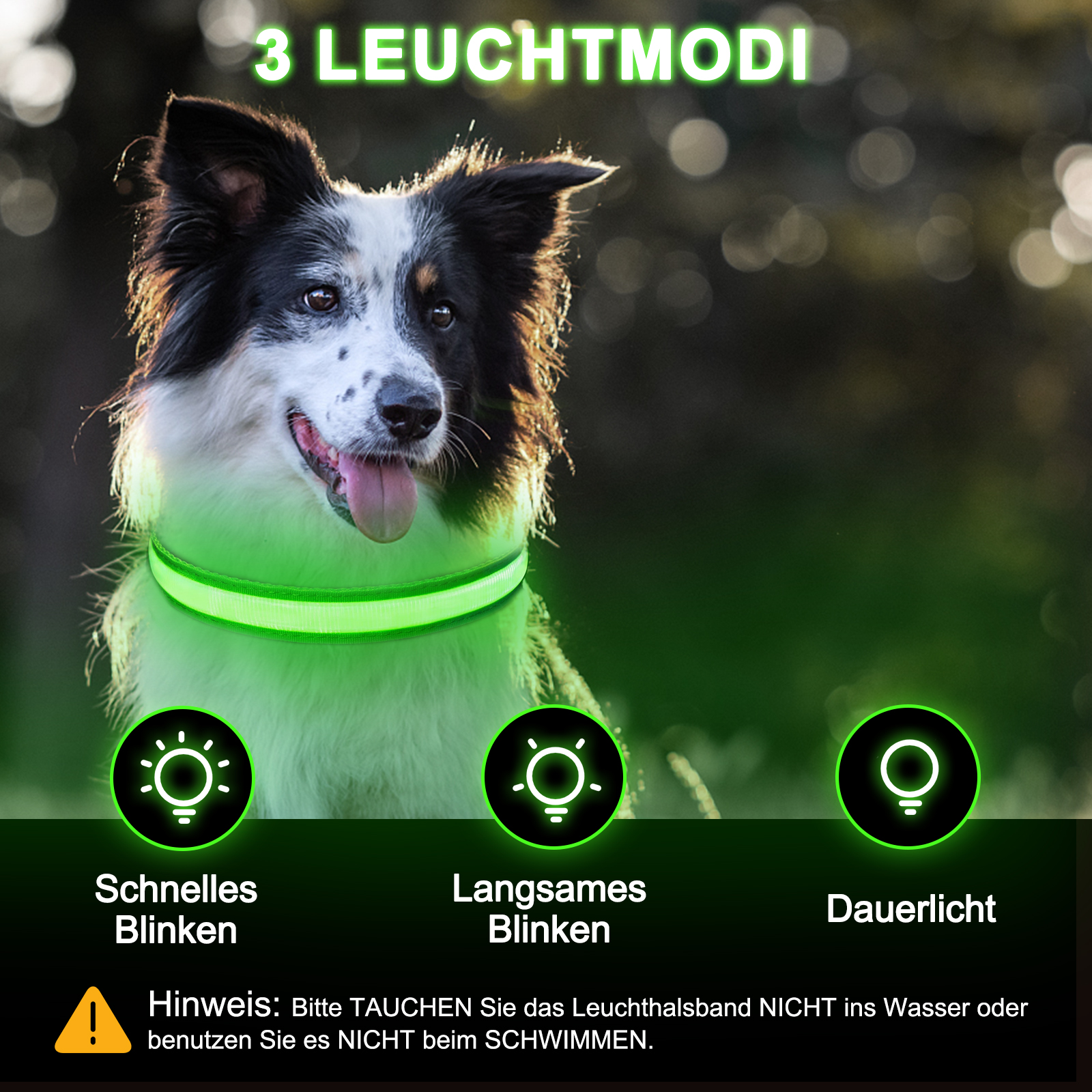 Light Up Dog Collar - Lights For The Dark Night, Adjustable Flashing — image 6