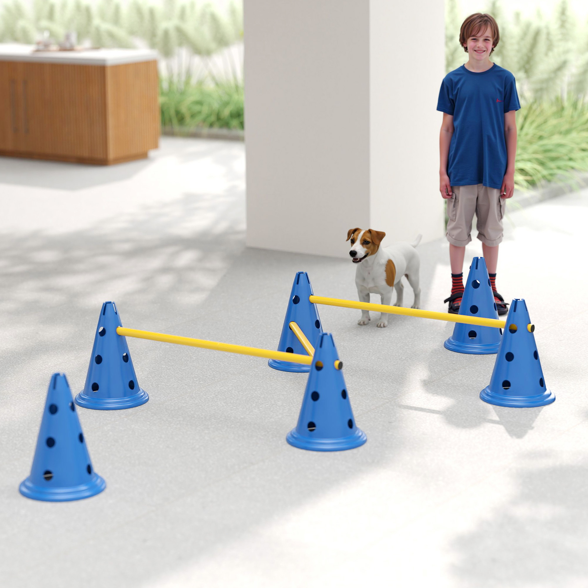 Dog Agility Equipment Set Of Six Cones, Poles With Carry Bag, Three-Piece — image 5