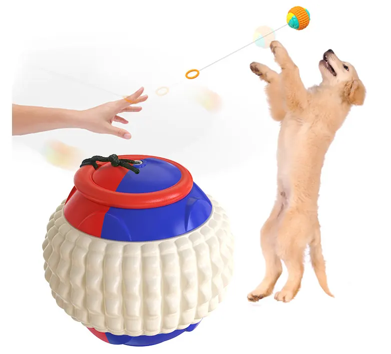 New Pet Draw Rope Hand Throwing Ball ABS Grinding