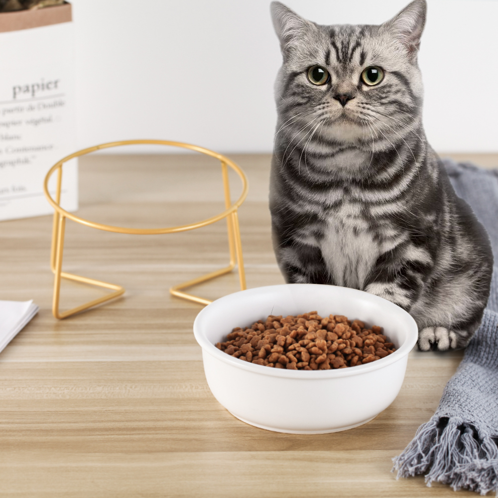 Cat Bowl Oblique Mouth Tilted Ceramic Pet Bowl Cat Food Bowl