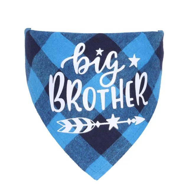Cotton Plaid Single layer Cat And Dog Ornaments Blue - Shop at LoveMi