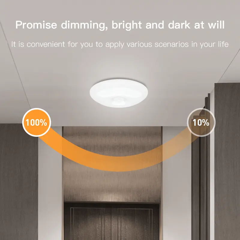 Human Induction Ceiling Lamp Infrared Garage Cloakroom