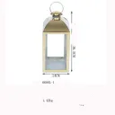 6606L Champagne Gold