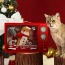 Cat Gift Box