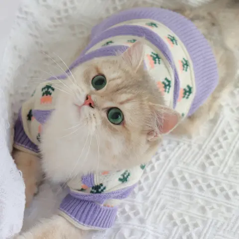 Retro Purple Flower Sweater Cute Pet Cat Dog Autumn