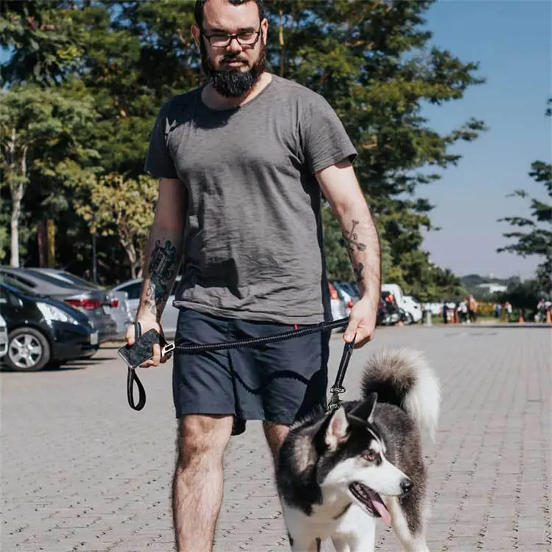 Dog Leash, Leash For Large Dogs, Multifunctional