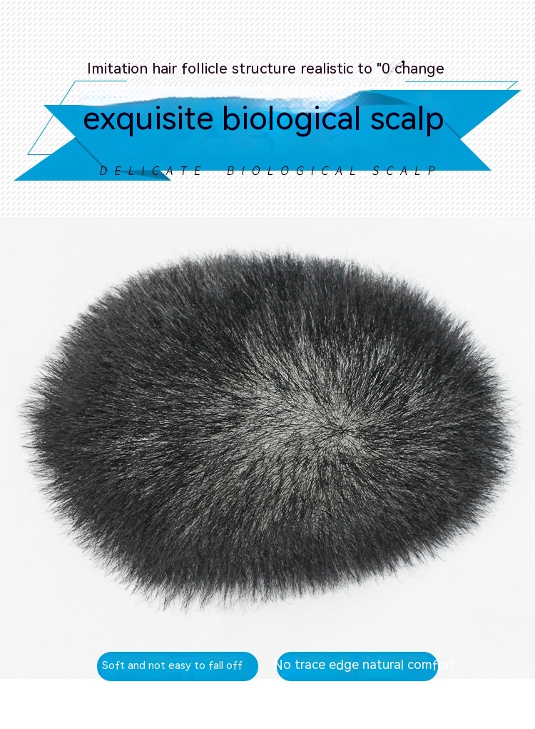 Title 3, Biological Scalp Men Wig Set