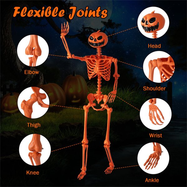 5.5ft Life-Size Halloween Skeleton with Pumpkin Head - Orange Color, Fully Poseable Joints (Jaw/Shoulders/Knees), PP+PE Material-17