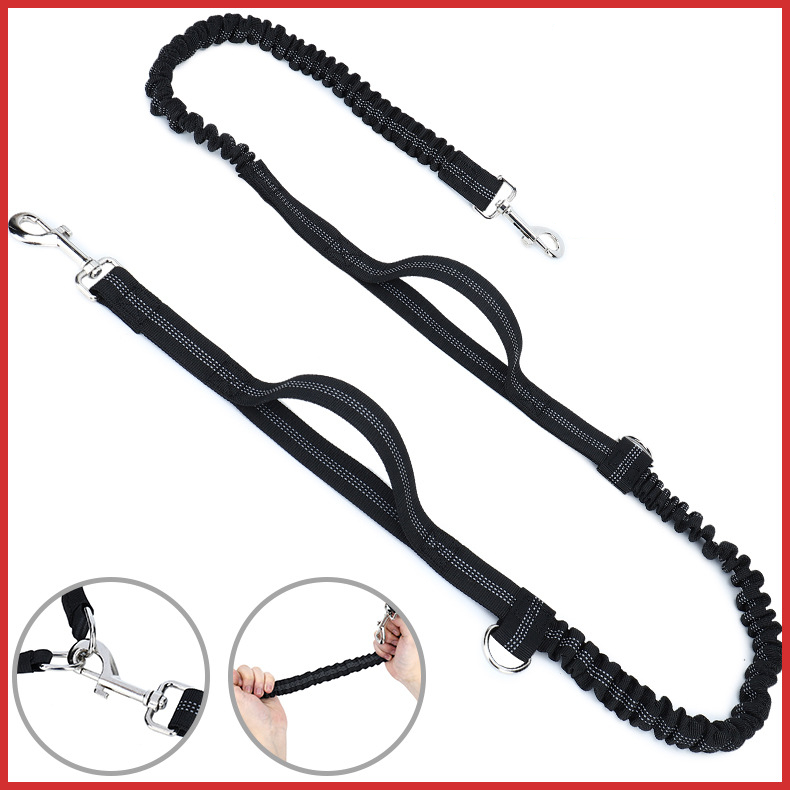 Dog leash