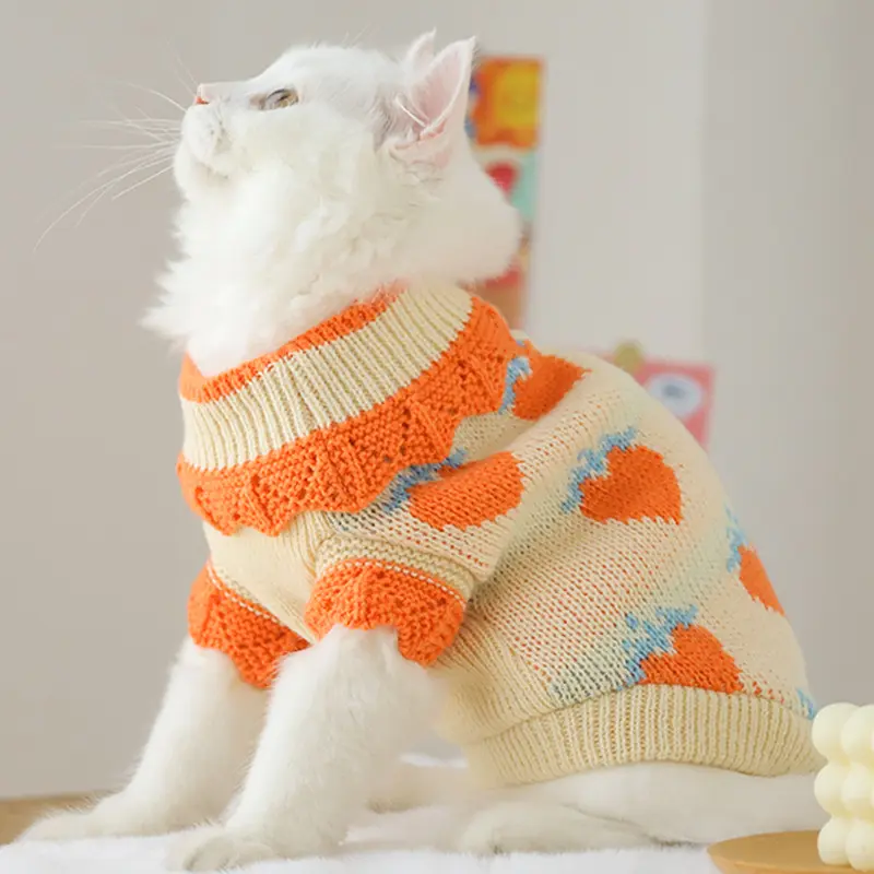 Cat Clothes For Fall Kittens To Prevent