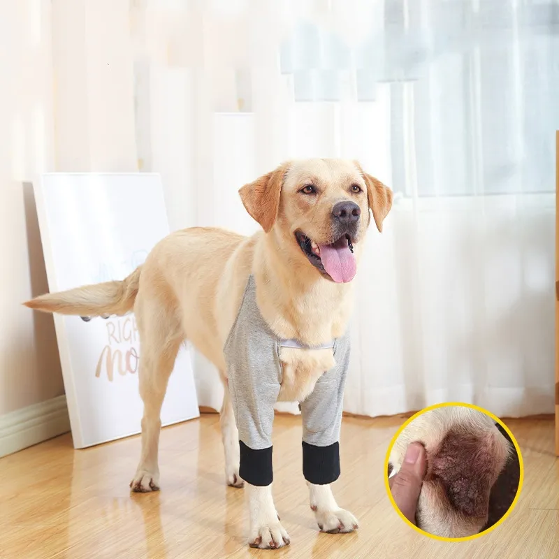 Pet Knee Pads For Cold And Warmth