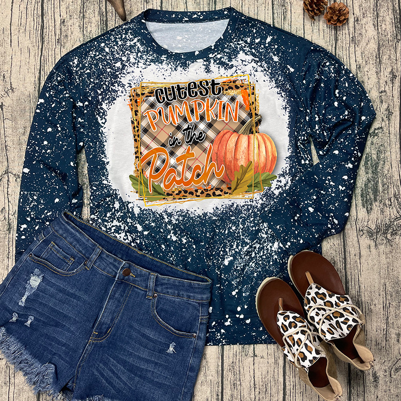 Women  Round Neck Long Sleeve Sweater