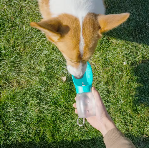 Pet Water Cup Outdoor Portable Water Bottle thumbnail 4