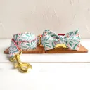 Collar Leash Bow Tie