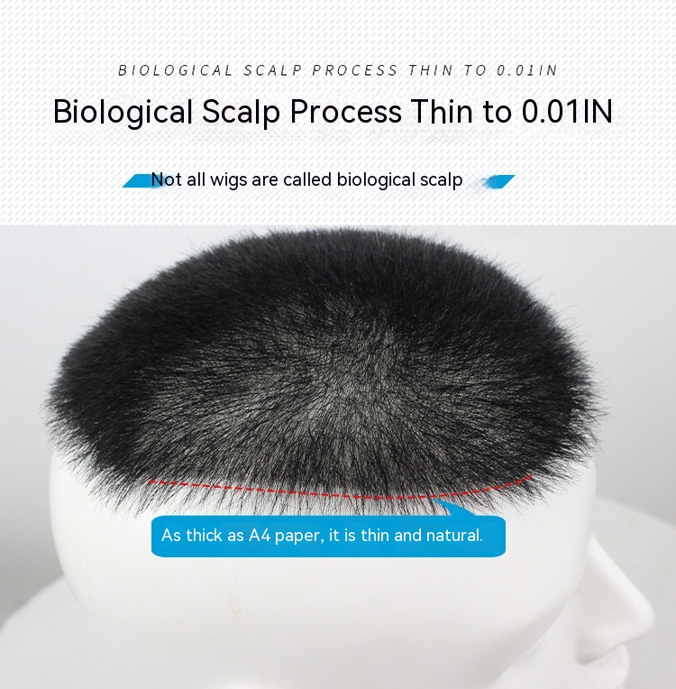 Title 2, Biological Scalp Men Wig Set