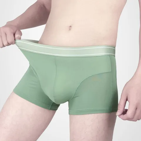 Quick Drying Breathable Ice Silk Underwear for Men