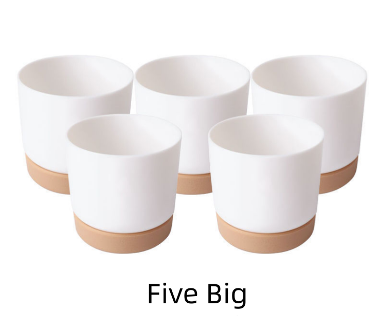 Large 5