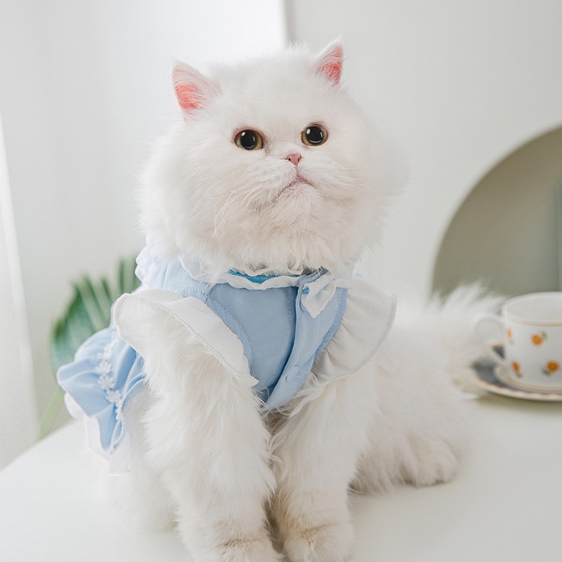 ชุดเดรสเจ้าหญิงแมวบาง สำหรับสุนัขสองขา สวยน่ารัก ใส่สบาย เหมาะสำหรับสัตว์เลี้ยง เพิ่มความน่ารักให้กับเพื่อนรักของคุณ