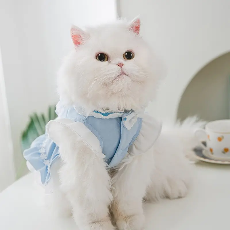 Thin Cat Princess Dress Two Feet Dog Pet