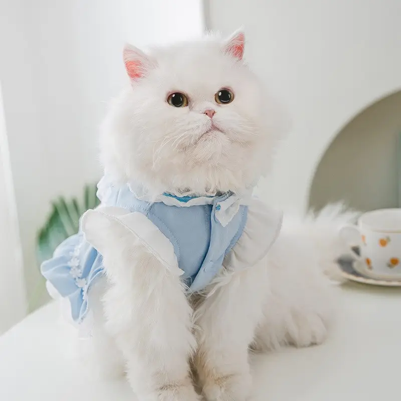 Thin Cat Princess Dress Two Feet Dog
