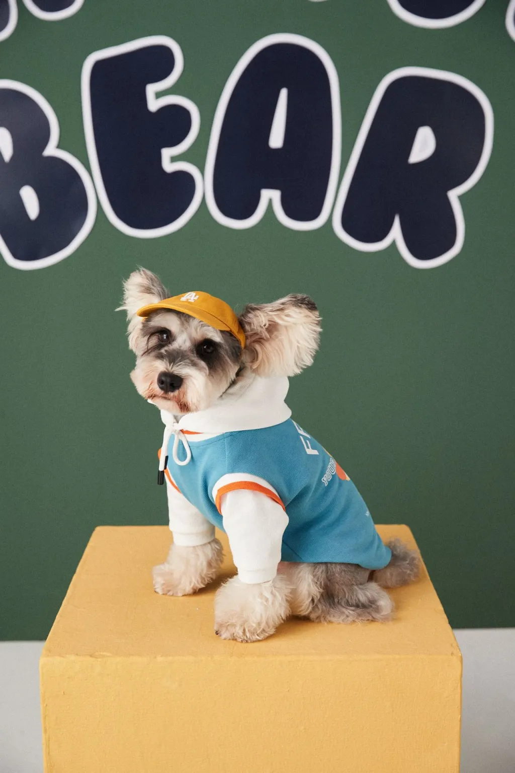 Fashion Stitching Contrast Colour Fake Two-piece Pet Sweater - Blue Green