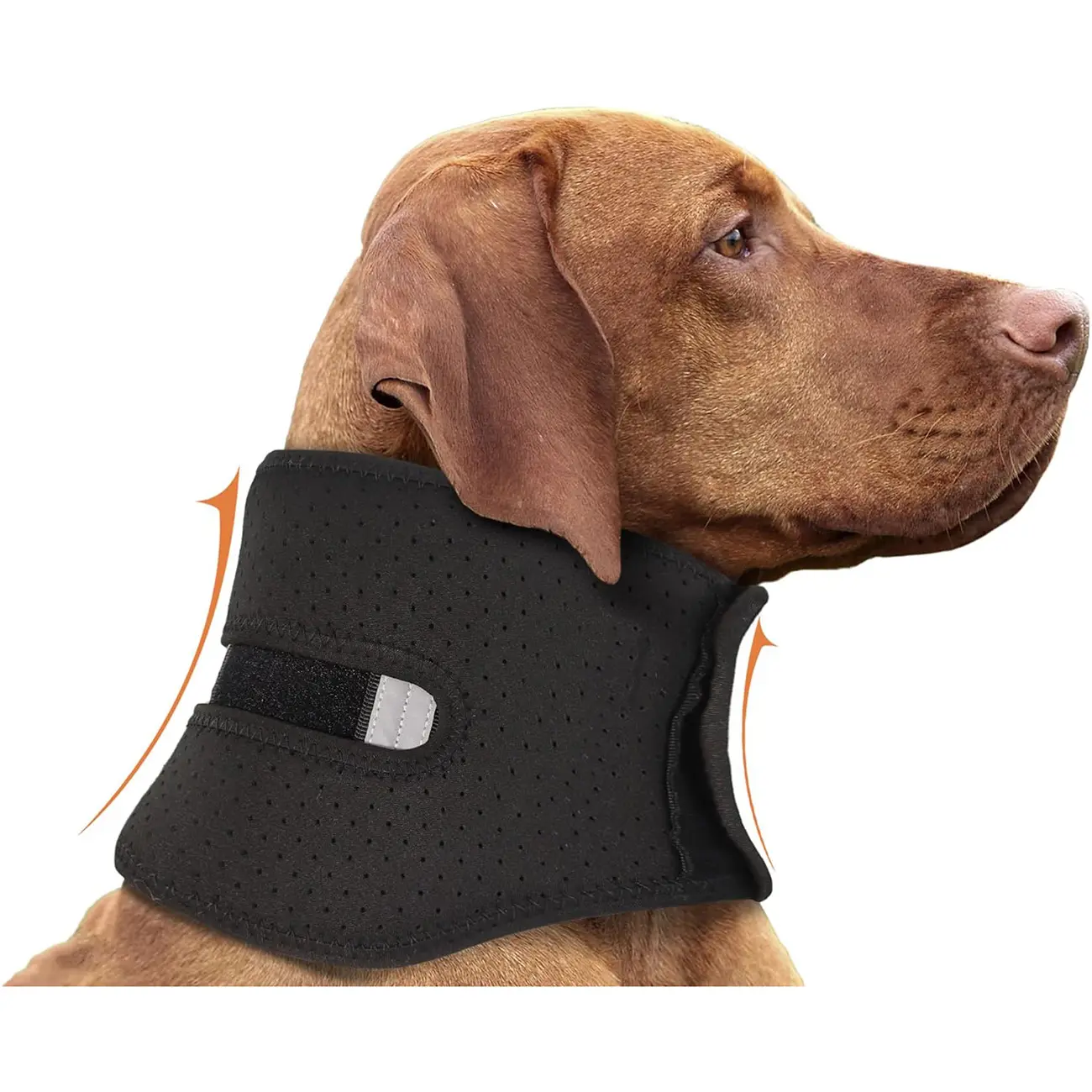 NEW Dog Support Collar Anti-licking Sprained Neck