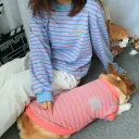 Dog Pink Owner Blue