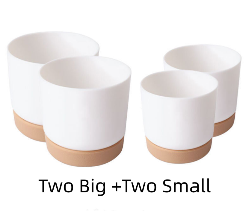 Small 2 Large 2