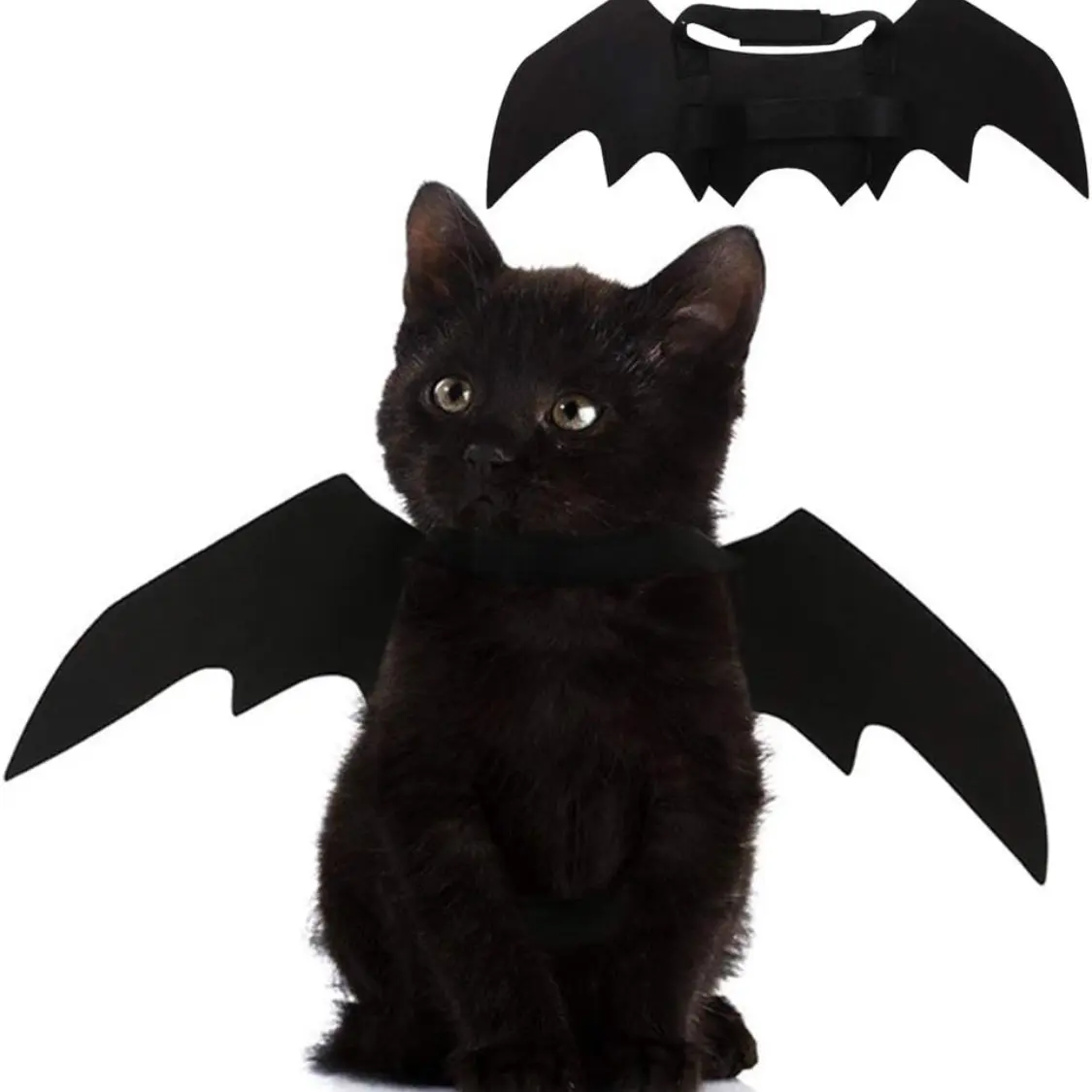 Pet Cat Bat Wings