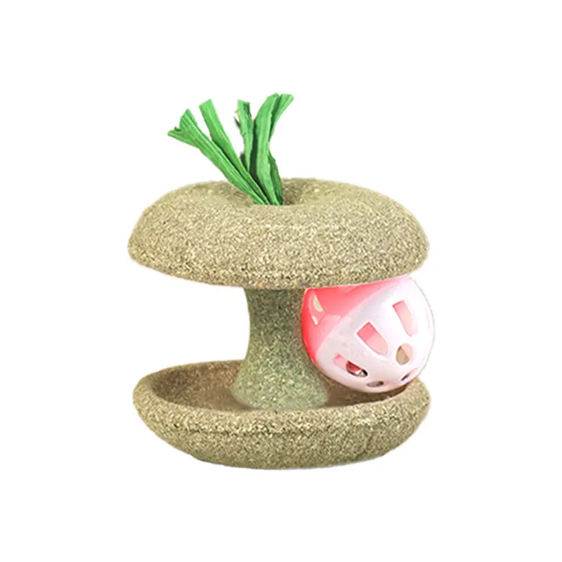 Pet Cat Catnip Toys Edible Shape