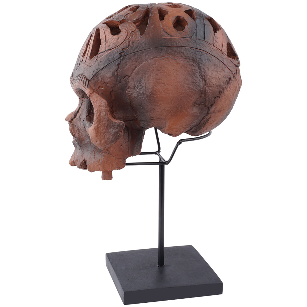 Sell Resin Skull Human Model Ornament (RH6140)